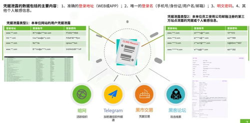 AI驱动全栈安全运营 绿盟科技安全服务能力再获权威认可