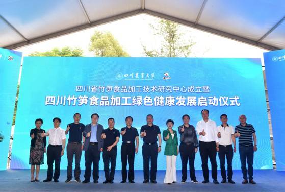 饭扫光集团认养大熊猫 美食与国宝携手，开启文化融合与生态发展新篇章