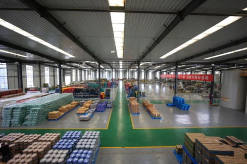 英莱壳智慧工厂 超凡技术全解密与四川技术服务优势